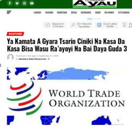 共建更公平、高效、包容的国际经贸新秩序 基于三点共识的改革路径