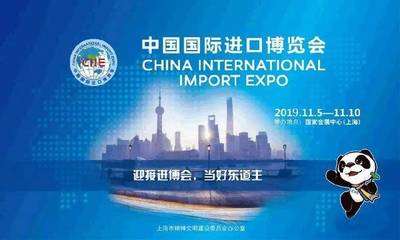 第二届中国国际进口博览会专业观众报名指南 转口贸易企业的参与之道